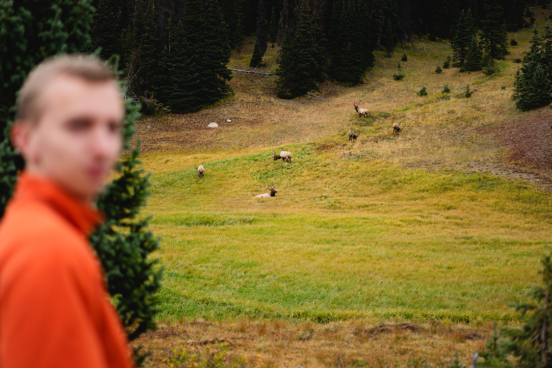 Man in the foreground out of focus looking at the camera with moose grazing behind him.