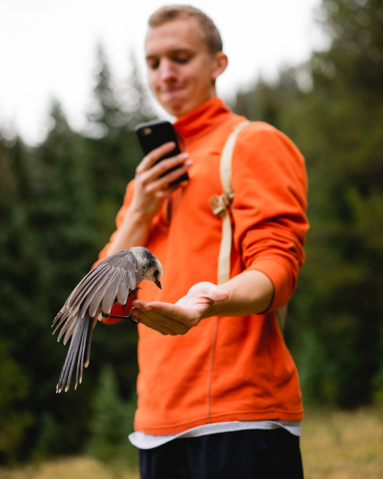 A man wearing an orange sweater takes a photo of a bird eating seeds out of his hand.
